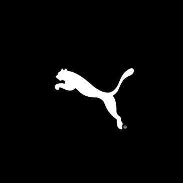 Puma Torwarthandschuhe