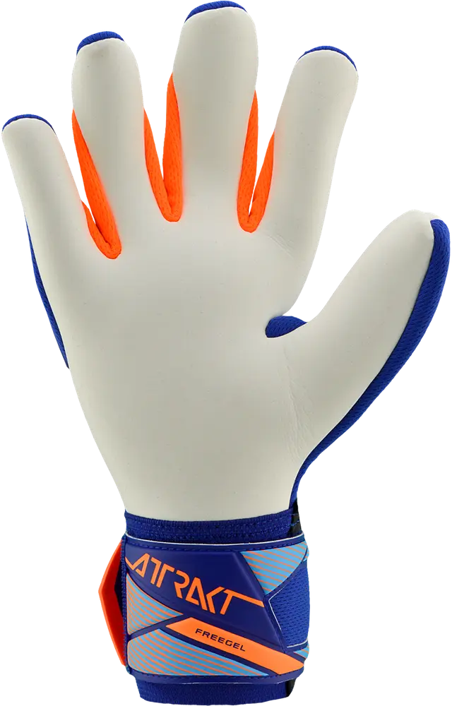 Reusch Attrakt Freegel Advance