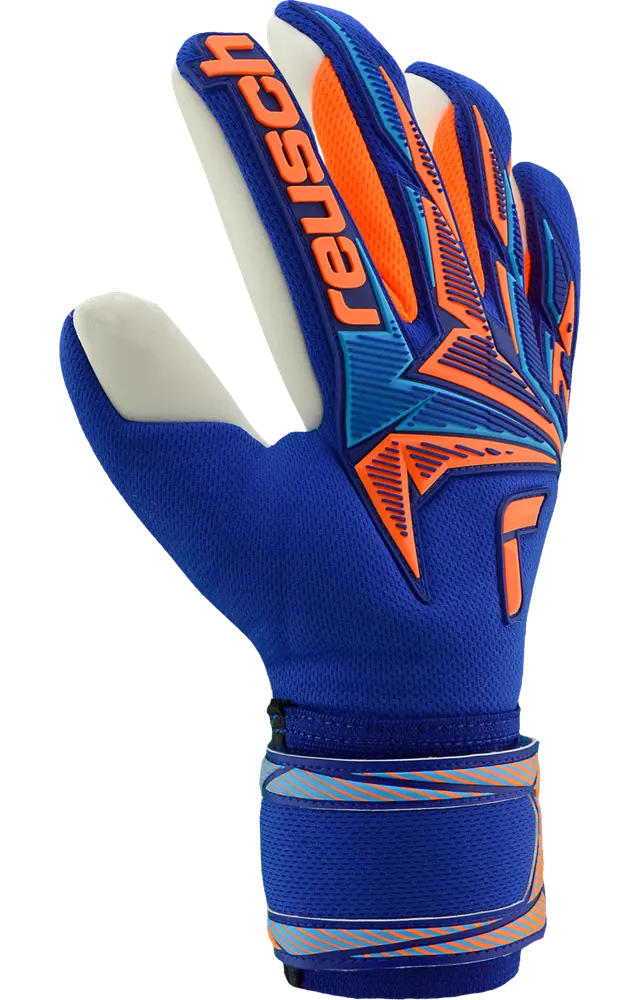 Reusch Attrakt Freegel Advance