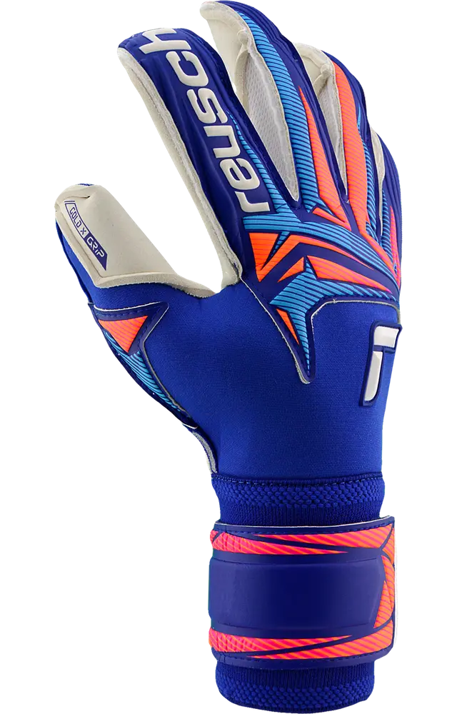 Reusch Attrakt Gold X Evolution