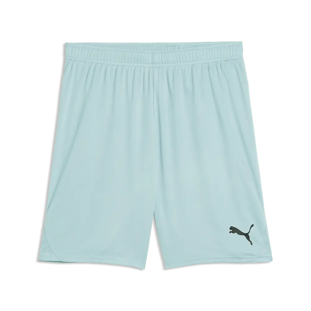 Short Puma teamGOAL