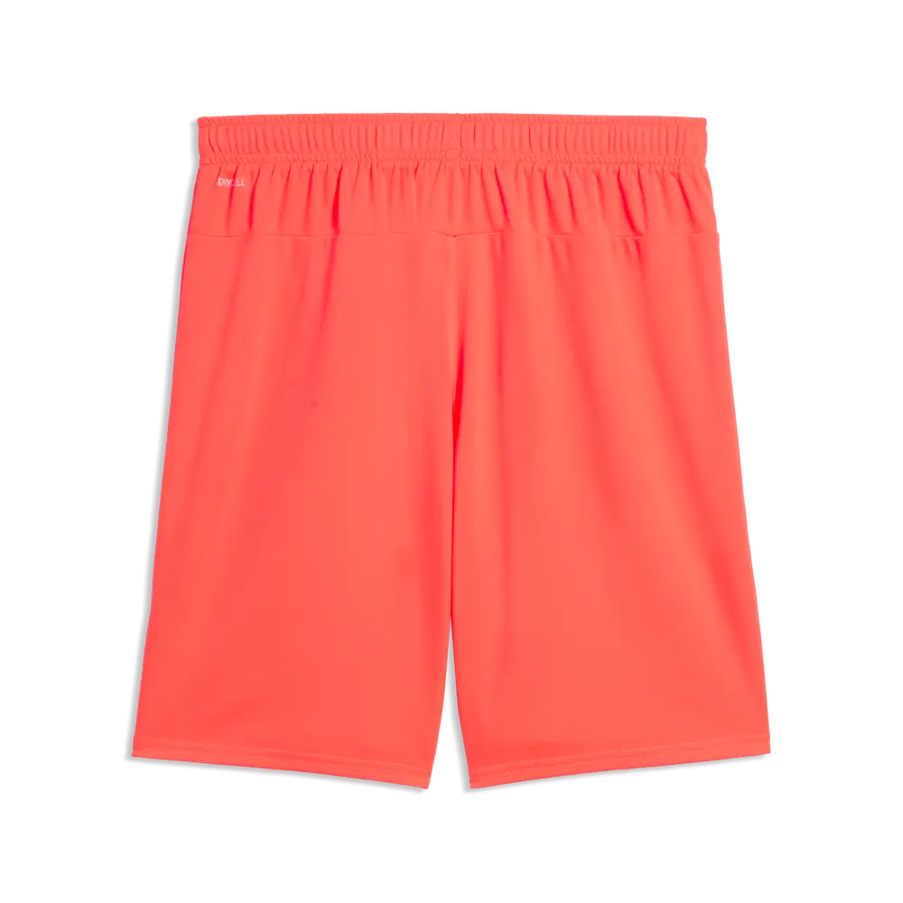 Puma teamGOAL Shorts