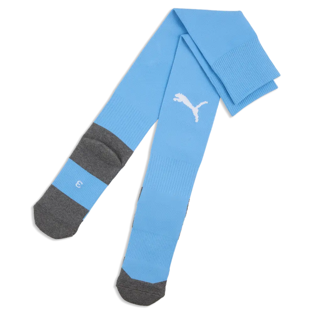 PUMA TeamLIGA 26 Socks