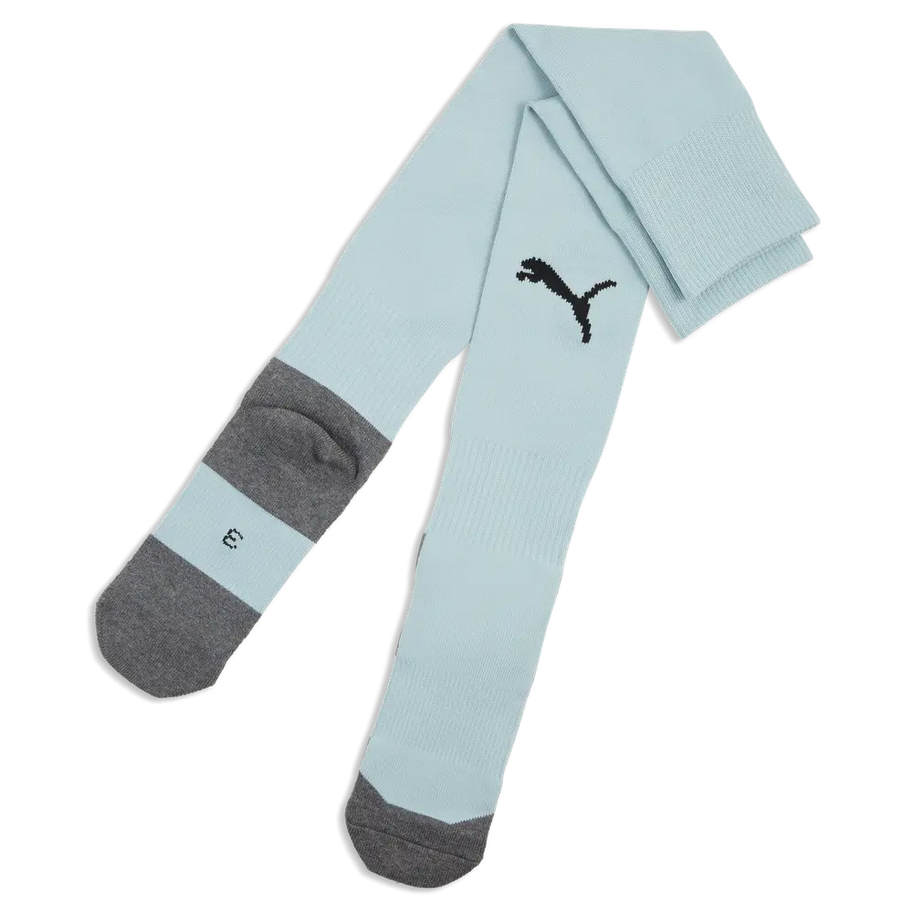 PUMA TeamLIGA 26 Socks