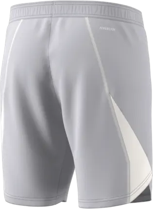 adidas Tiro 23 Pro GK-Shorts