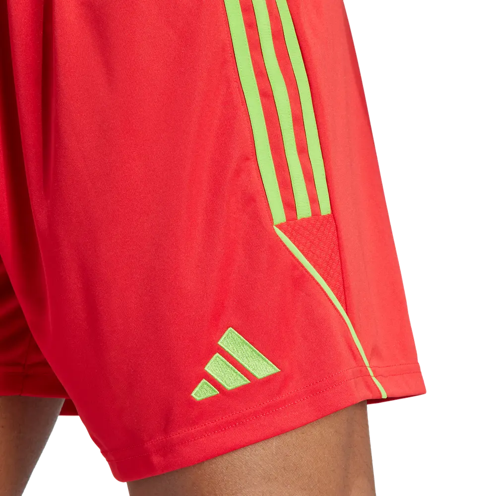 Pantaloncini adidas Tiro 23 Competition GK