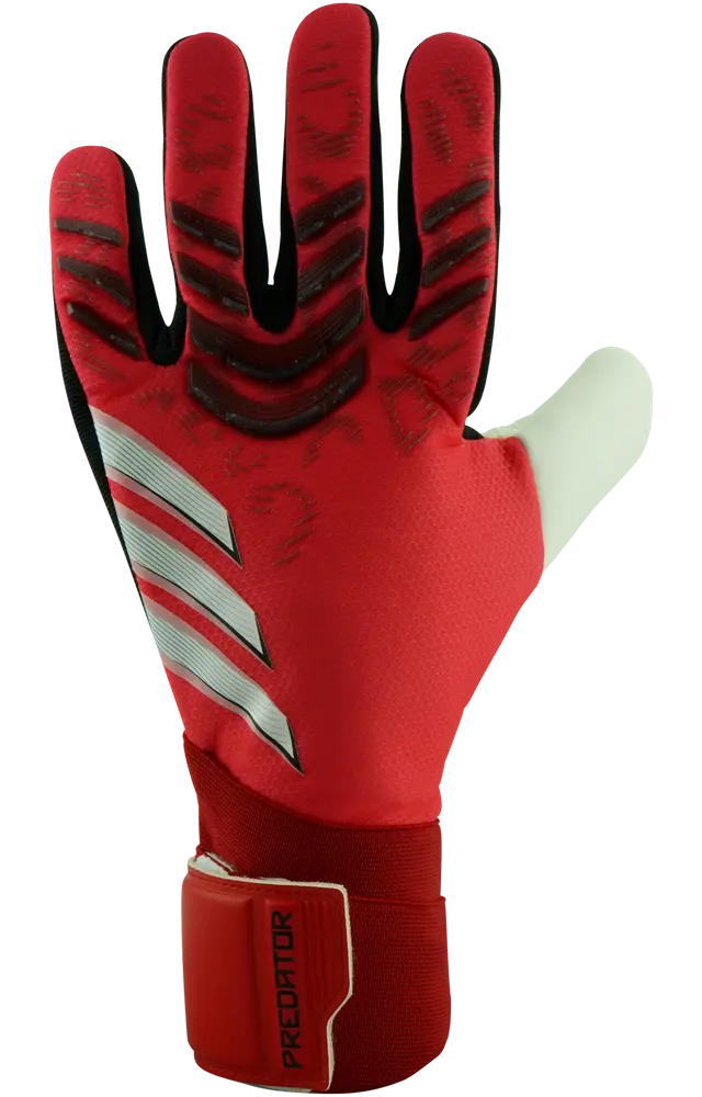 adidas Predator Competition Pure Victory