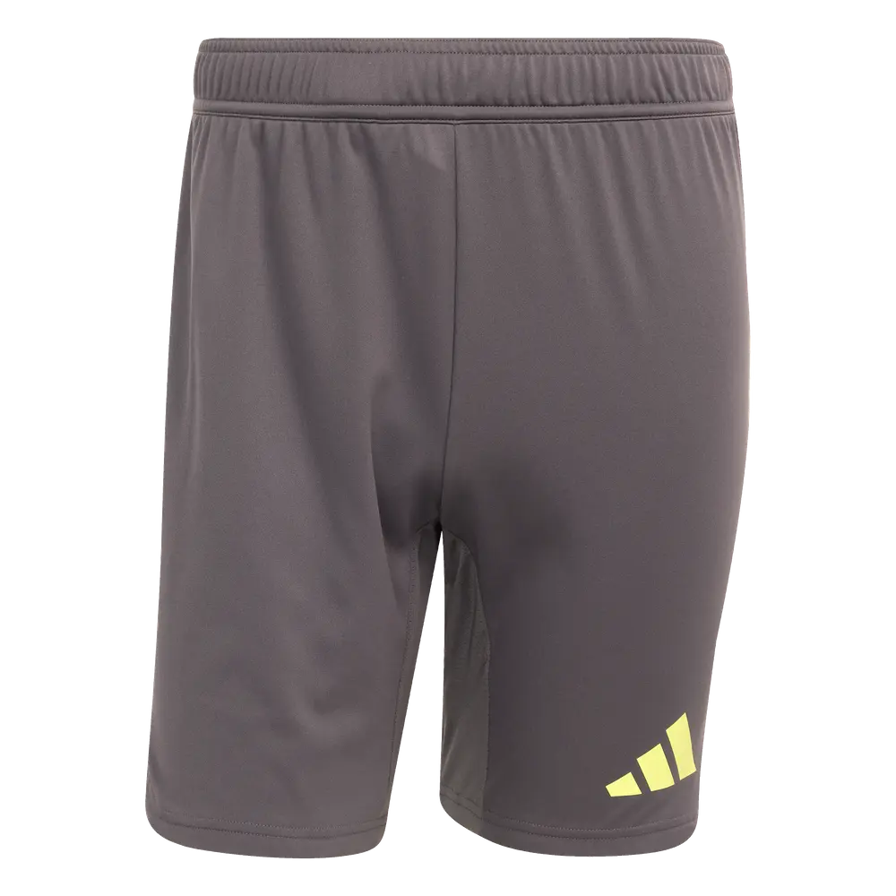 adidas Tiro 25 Pro GK-Shorts grey
