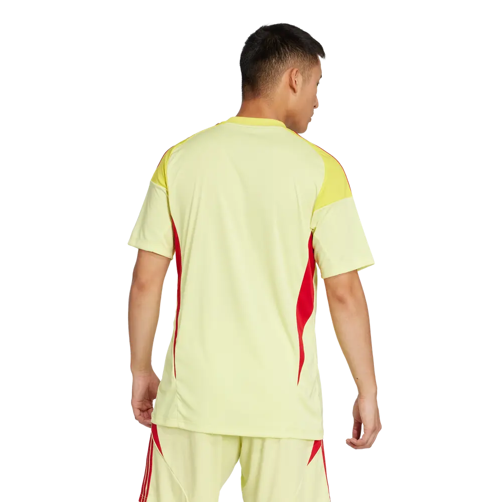 Maillot de gardien de but adidas Tiro 25 Competition