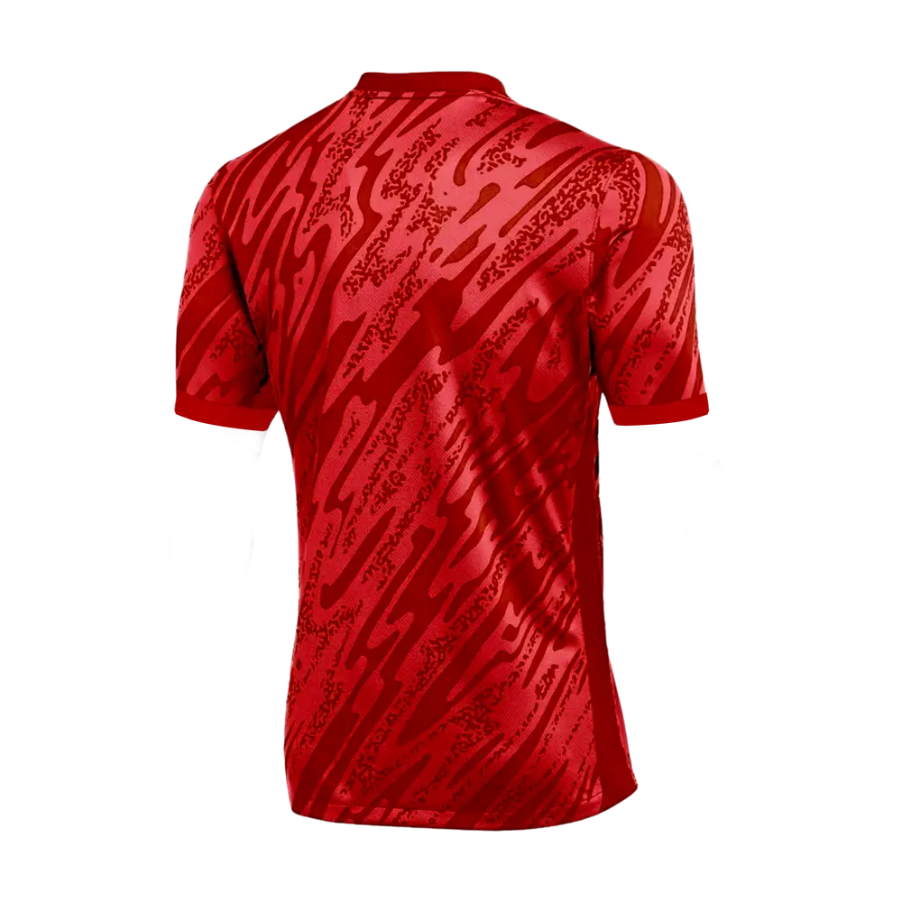 Maillot Nike Gardien V MC GK
