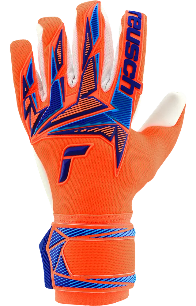 Reusch Attrakt Freegel Advance World Cup
