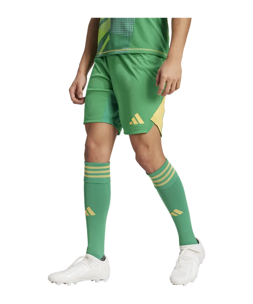 adidas Tiro 24 Pro GK-Shorts