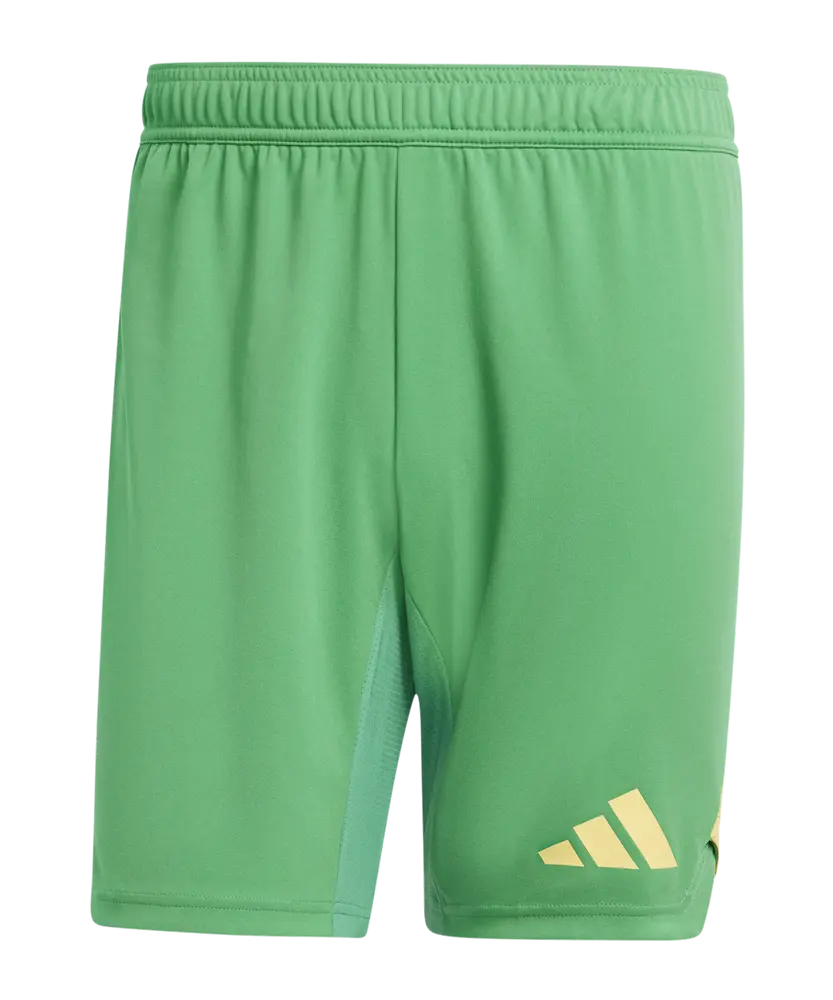 adidas Tiro 24 Pro GK-Shorts