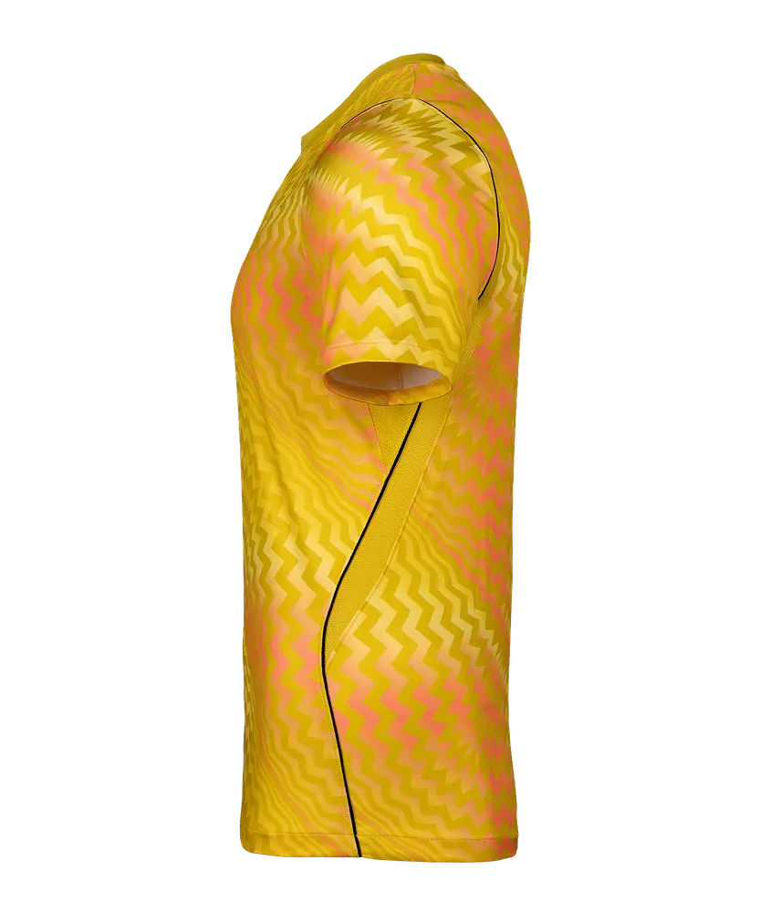 Maillot manches longues Nike Gardien VI GK