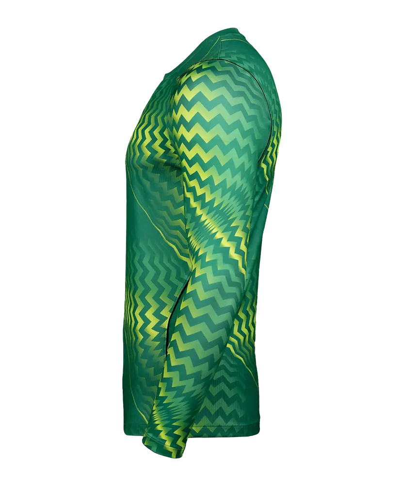 Maillot de gardien Nike Gardien VI manches longues