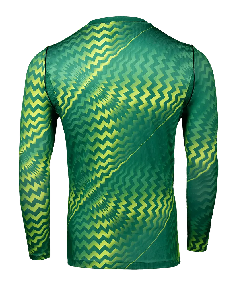 Maillot de gardien Nike Gardien VI manches longues