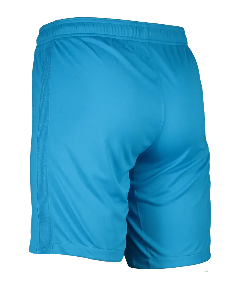 Nike Promo GK-Short blue