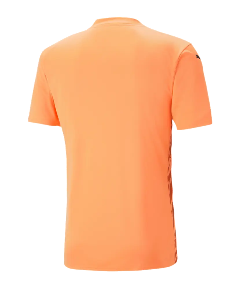 PUMA teamULTIMATE Shirt