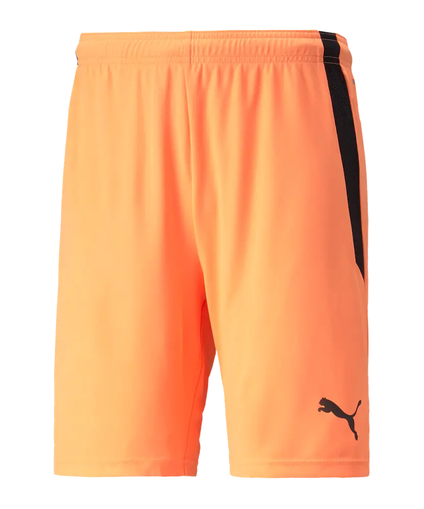 PUMA teamLIGA Short