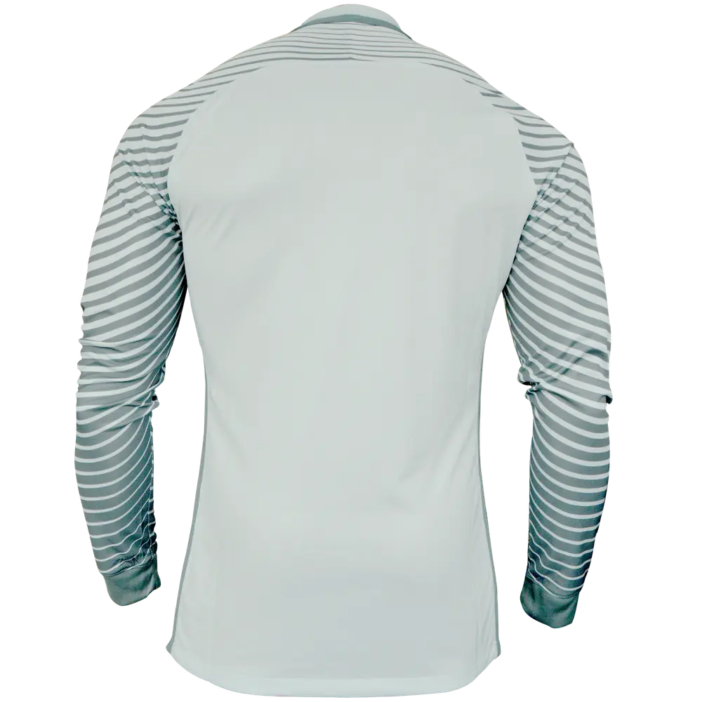 Nike Promo GK-Jersey l/s (grey)