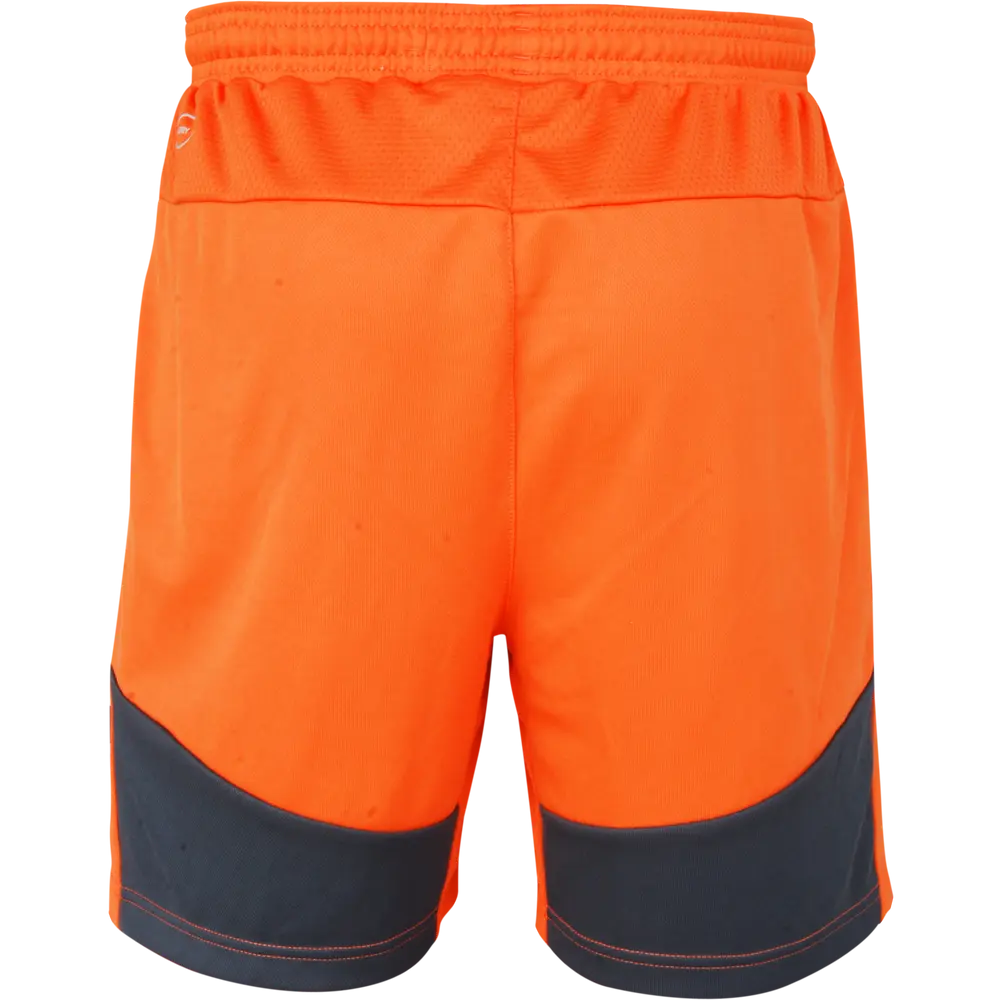 Pantaloni corti da portiere PUMA Stadium