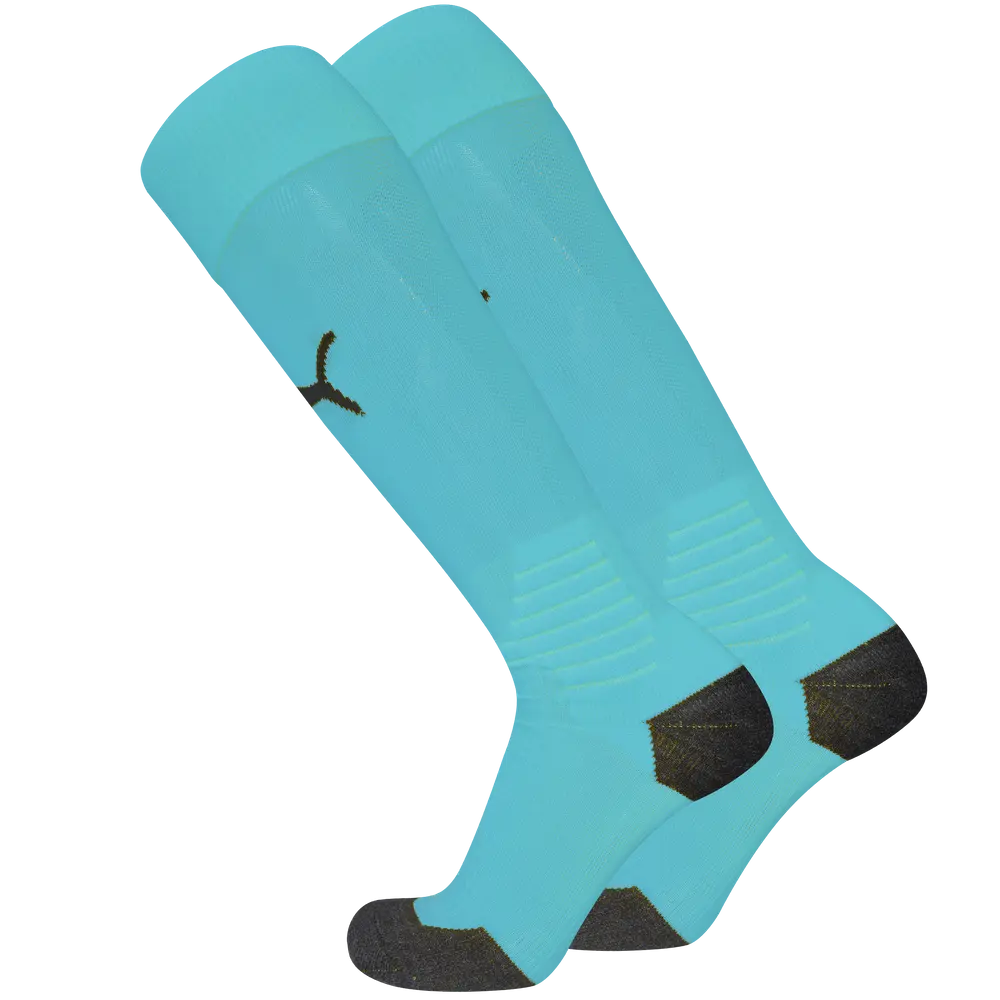 PUMA LIGA Socks Socks