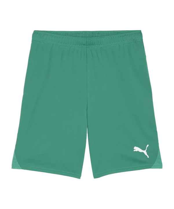 PUMA teamGOAL Short
