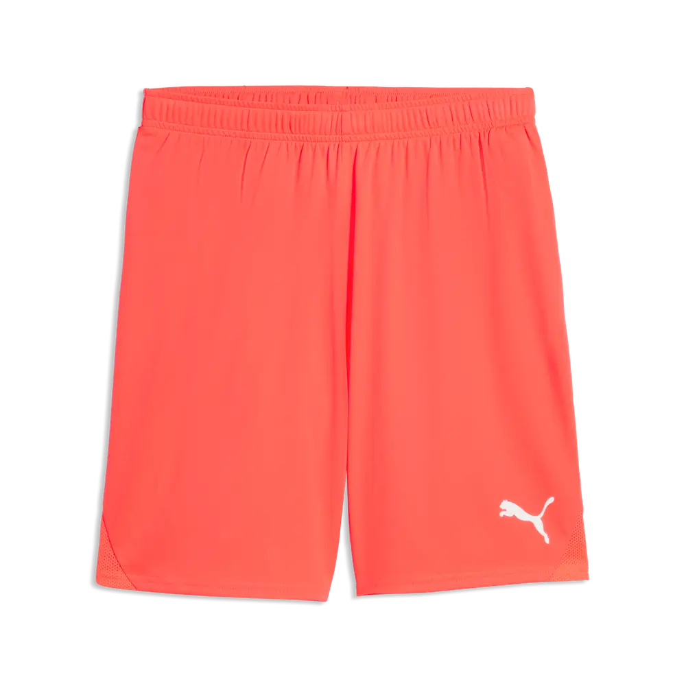 Puma teamGOAL Shorts