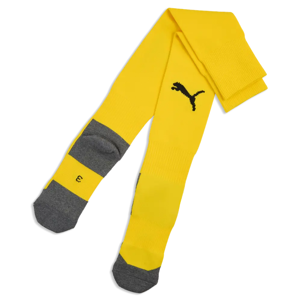 PUMA TeamLIGA 26 Socks