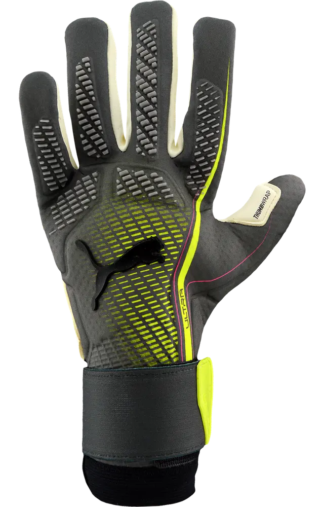 PUMA ULTRA Ultimate Hybrid Audacity