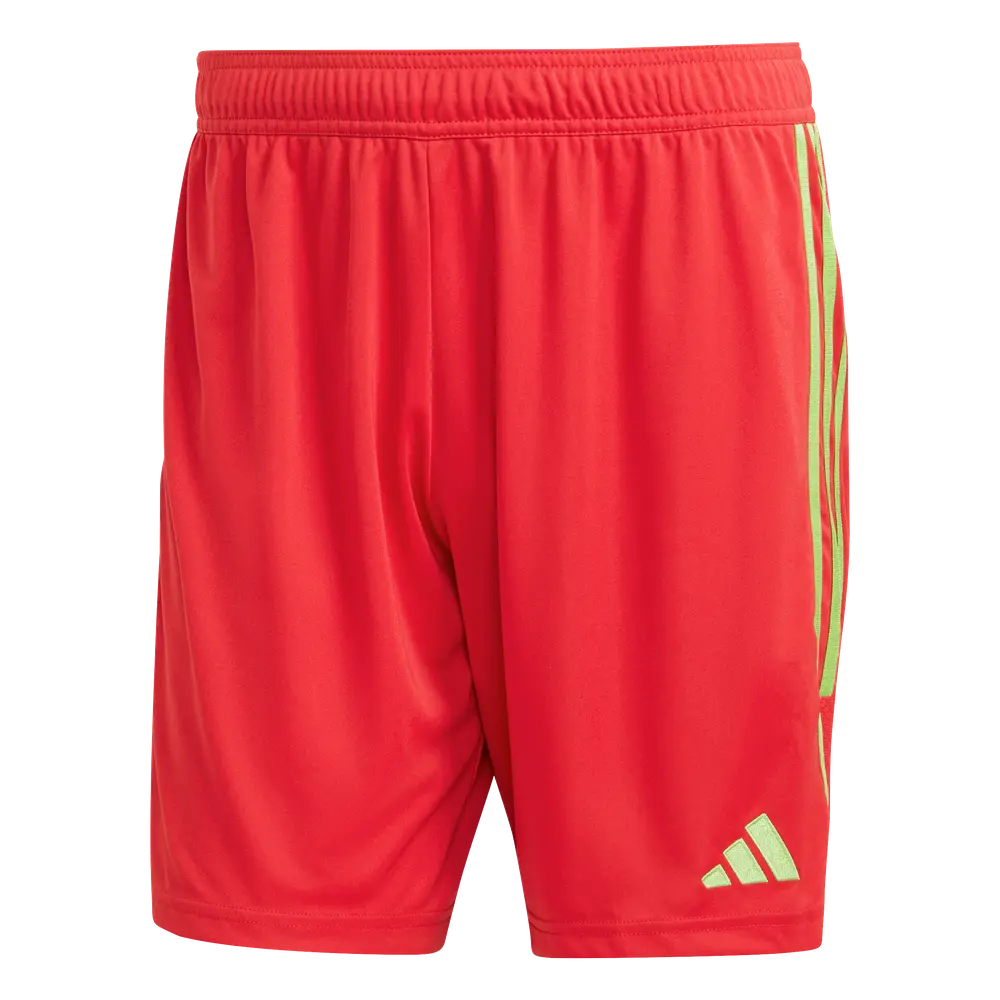 Pantaloncini adidas Tiro 23 Competition GK