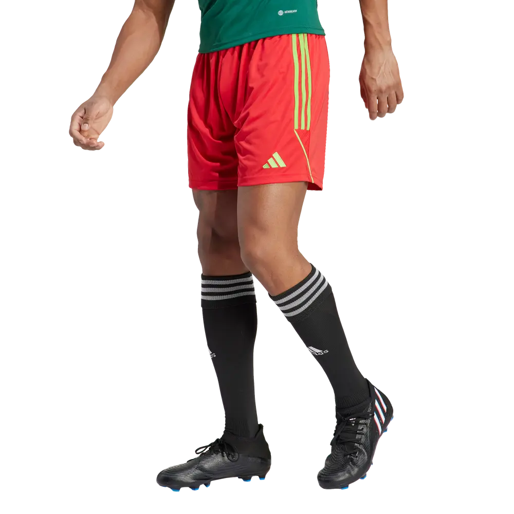 Pantaloncini adidas Tiro 23 Competition GK