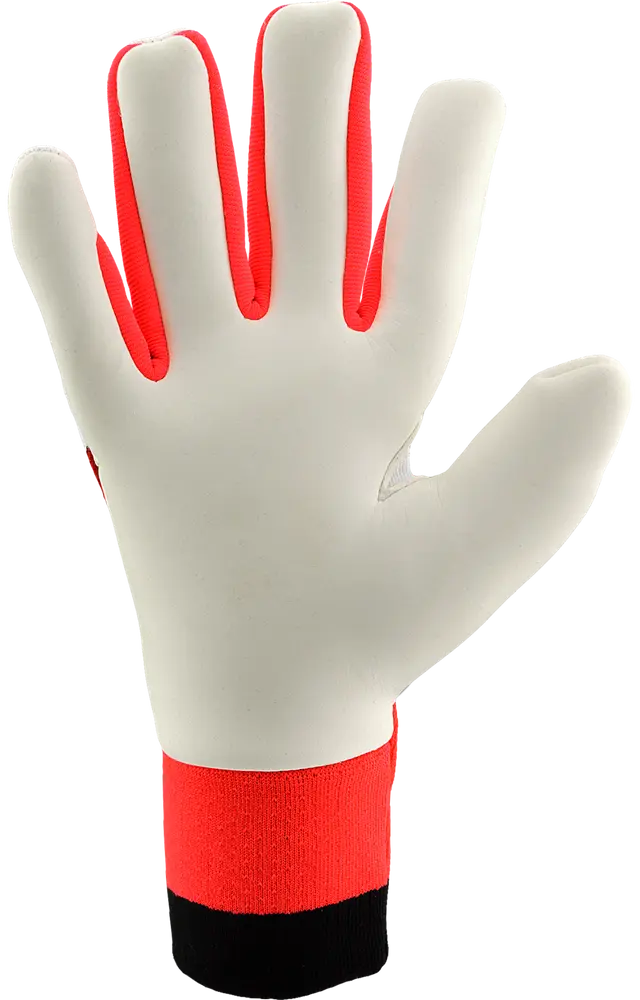 Adidas Predator Pro Born for Goals