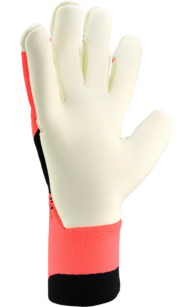 adidas Predator Pro Hybrid Road to Glory