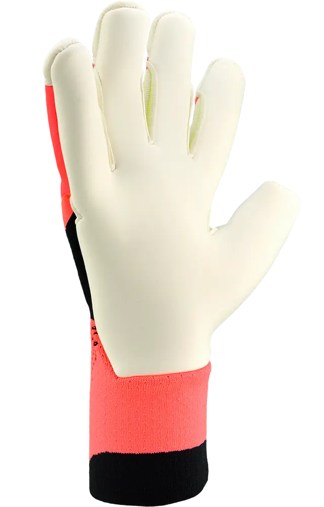 adidas Predator Pro Hybrid Promo Vers la gloire