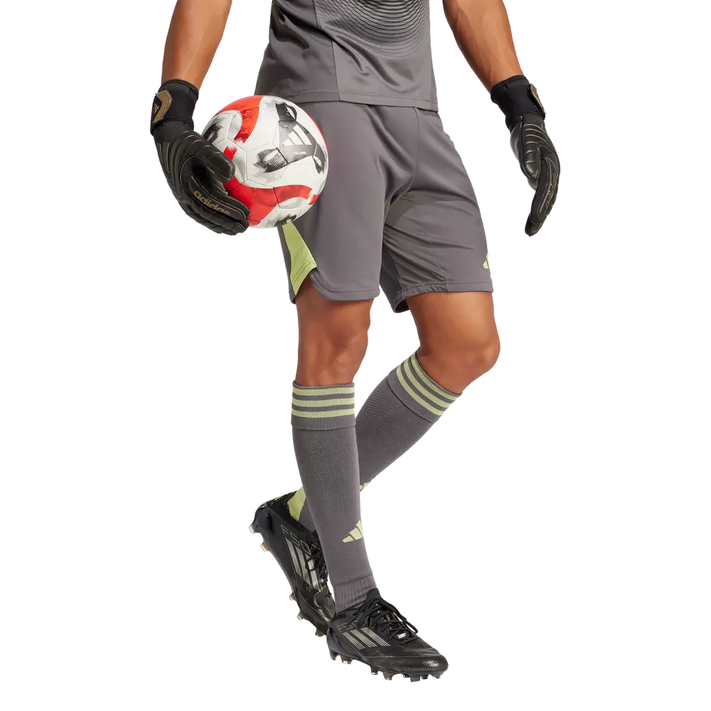 adidas Tiro 25 Pro GK-Shorts grey