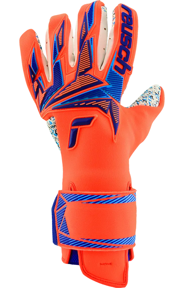 Reusch Attrakt Freegel Fusion World Cup