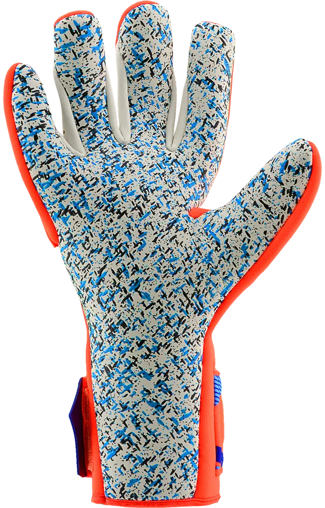 Reusch Attrakt Freegel Fusion World Cup