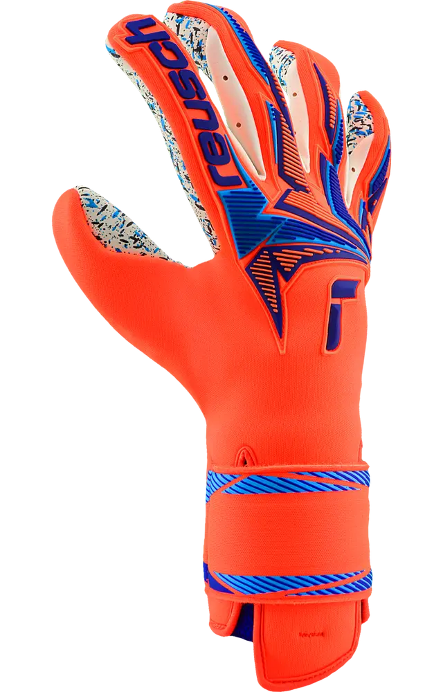 Reusch Attrakt Freegel Fusion World Cup