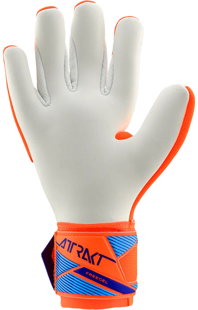 Reusch Attrakt Freegel Advance World Cup