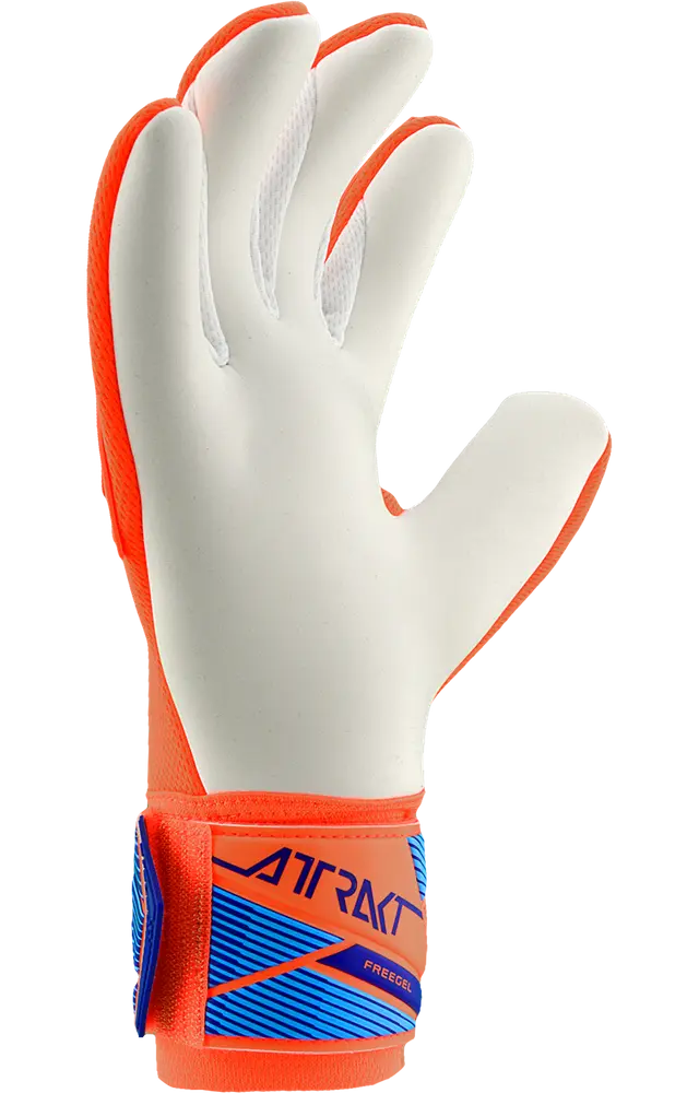 Reusch Attrakt Freegel Advance World Cup