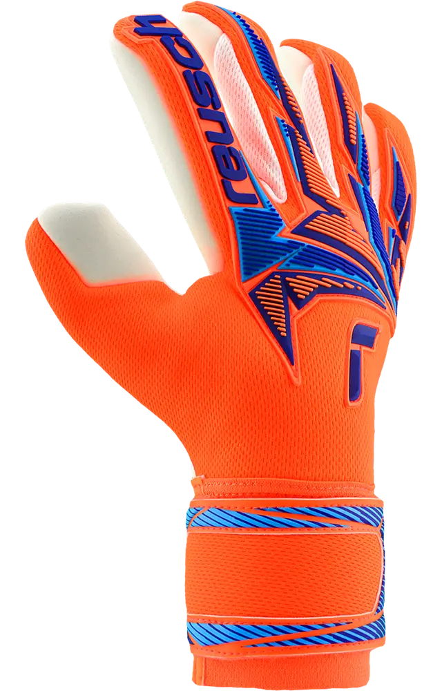 Reusch Attrakt Freegel Advance World Cup