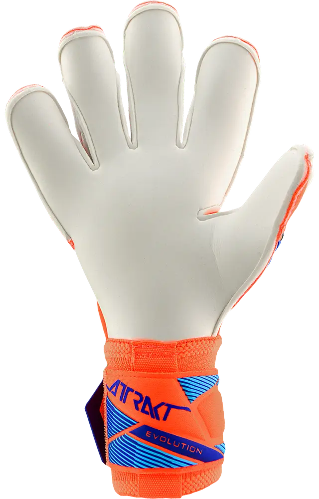 Reusch Attrakt Gold X Evolution World Cup