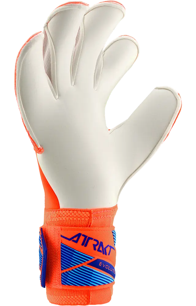 Reusch Attrakt Gold X Evolution World Cup