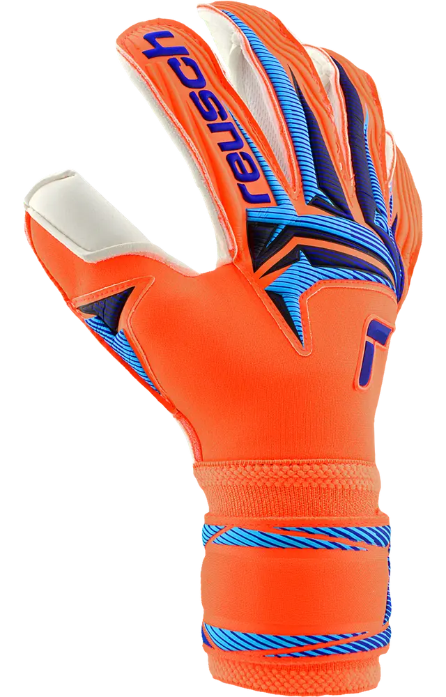 Reusch Attrakt Gold X Evolution World Cup
