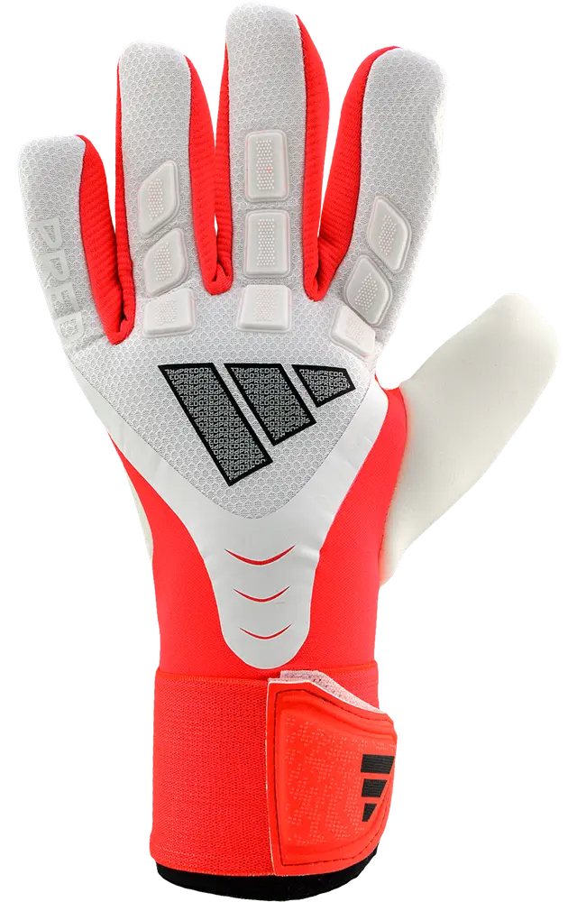Adidas Predator Competition Born for Goals