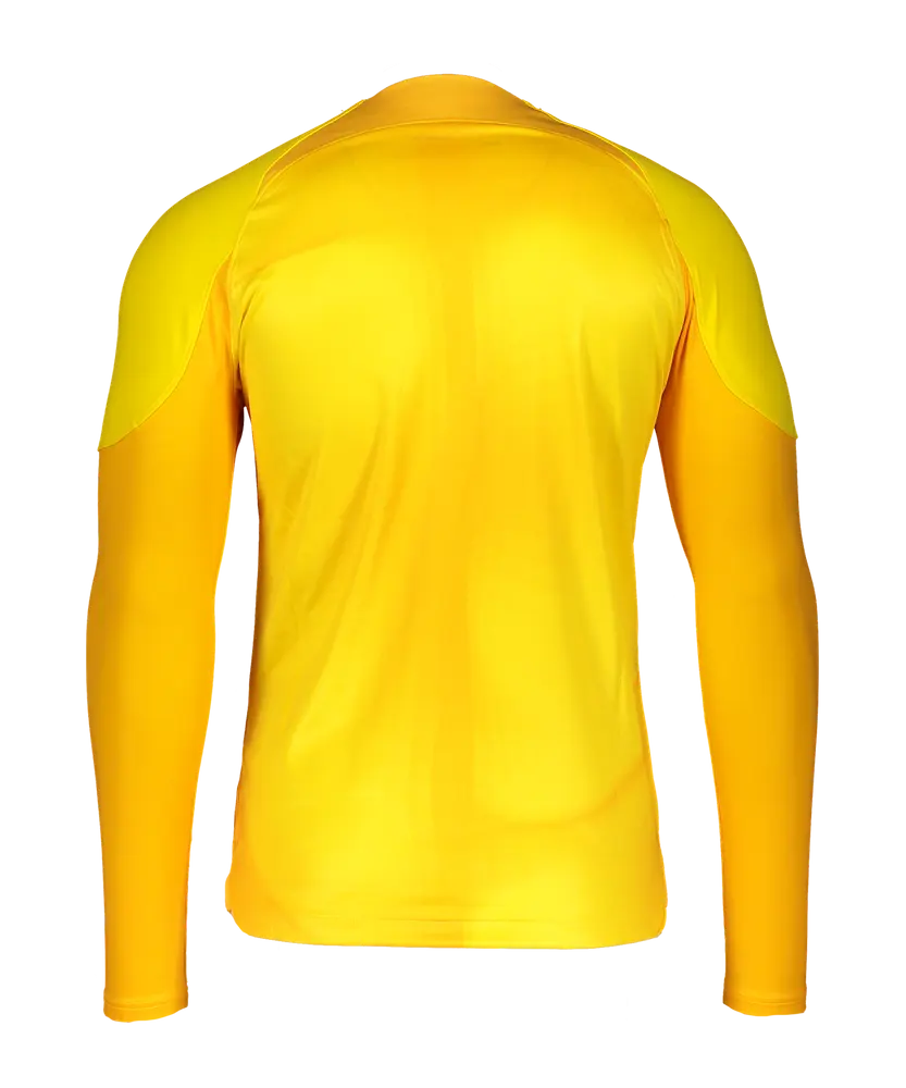 Maglia da portiere Nike Gardien IV a maniche lunghe