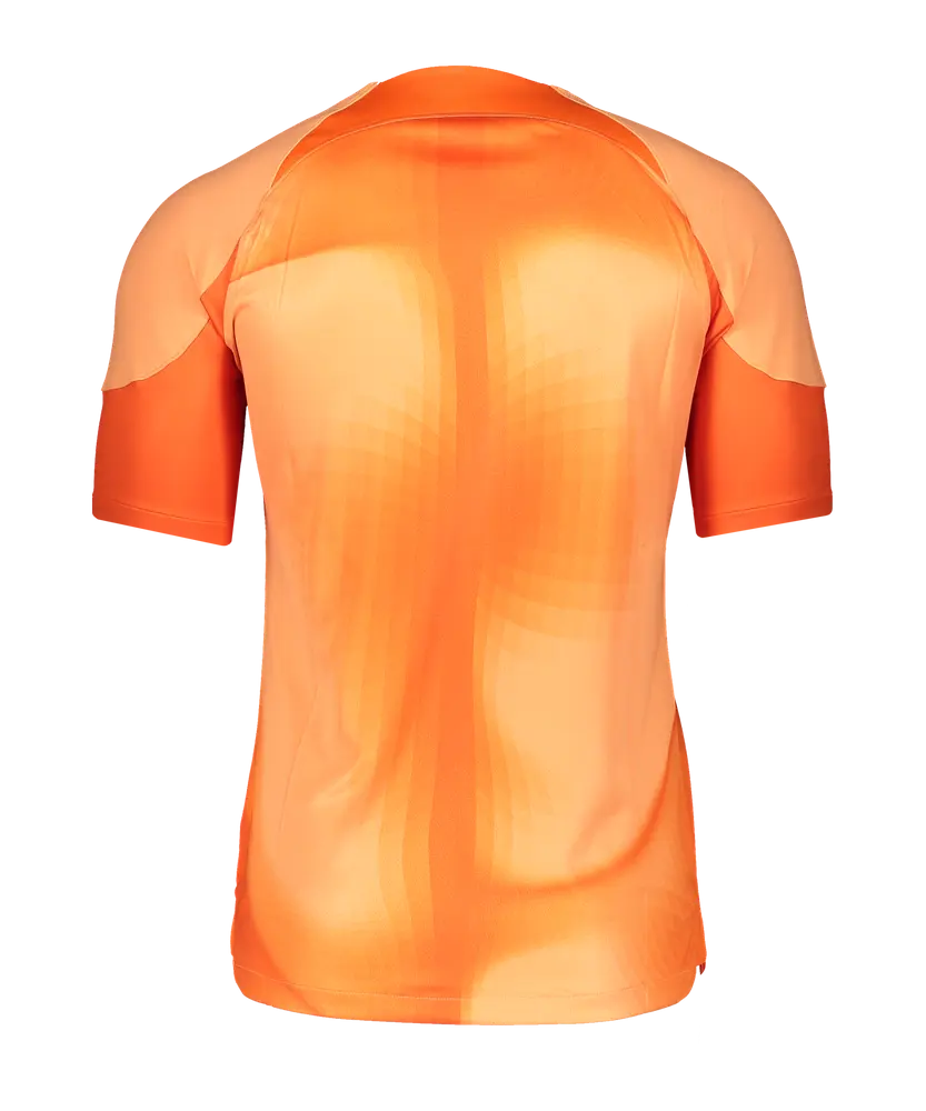 Maglia Nike Gardien IV GK