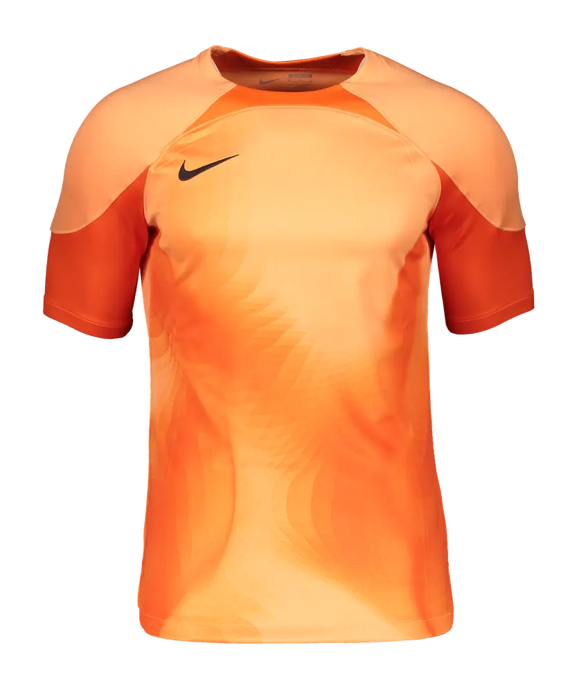 Maglia Nike Gardien IV GK