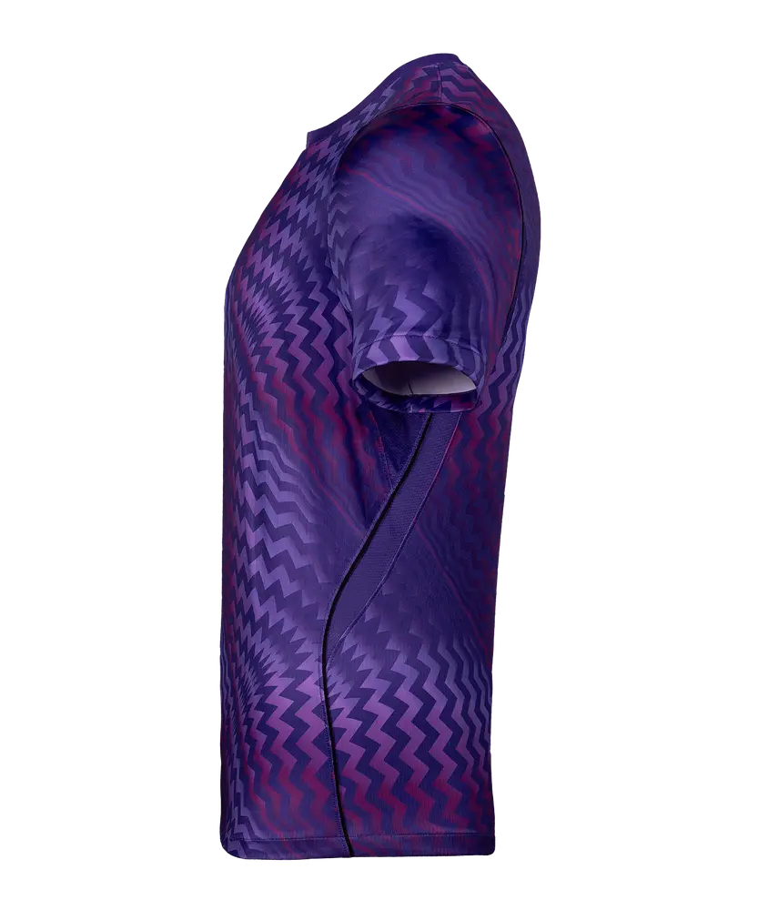 Maillot manches longues Nike Gardien VI GK
